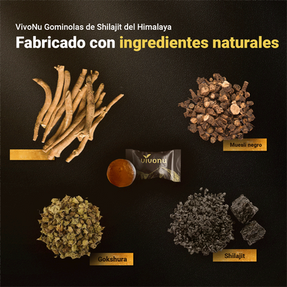 SHILAJIT 60 GOMITAS!!! 35% DE DESCUENTO!!!