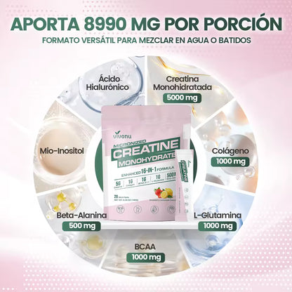 Creatina Monohidratada En Sobres