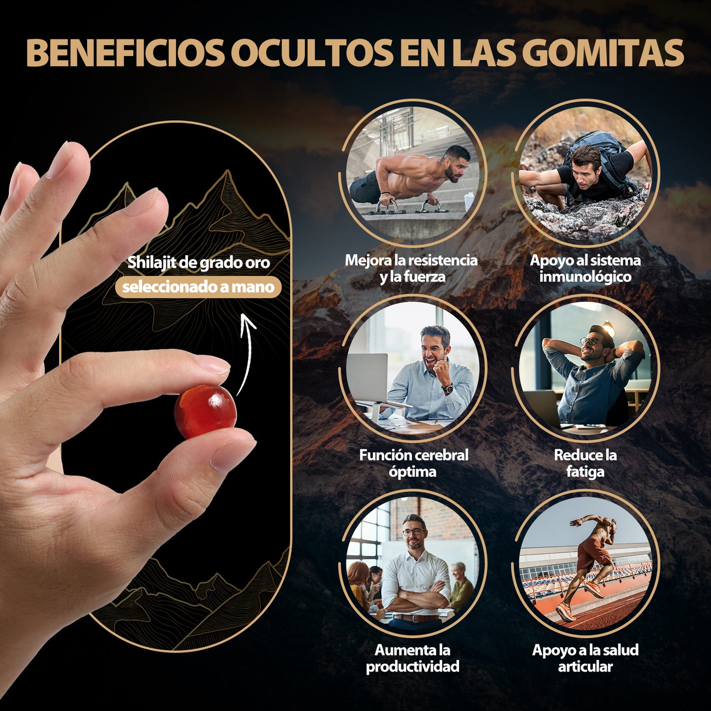 SHILAJIT 80 GOMITAS!  40% DE DESCUENTO!