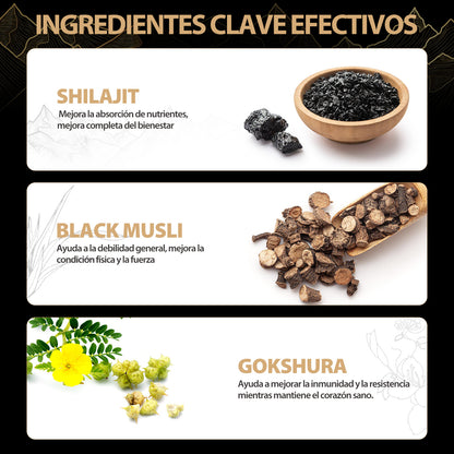 SHILAJIT 80 GOMITAS!  40% DE DESCUENTO!