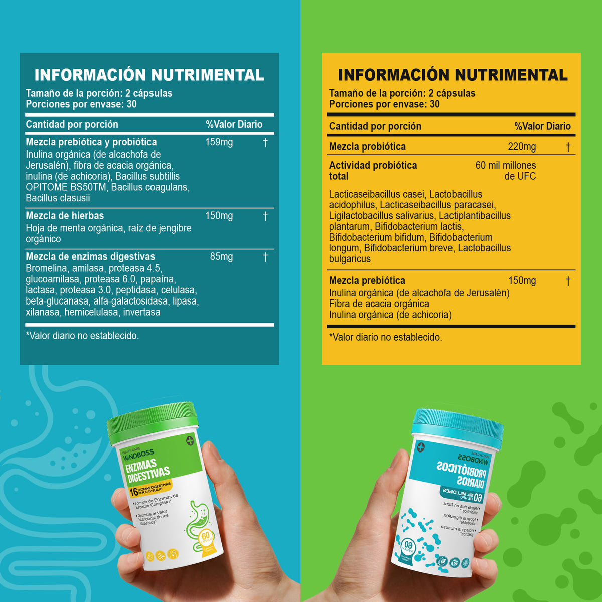 Probióticos y Enzimas Naturales