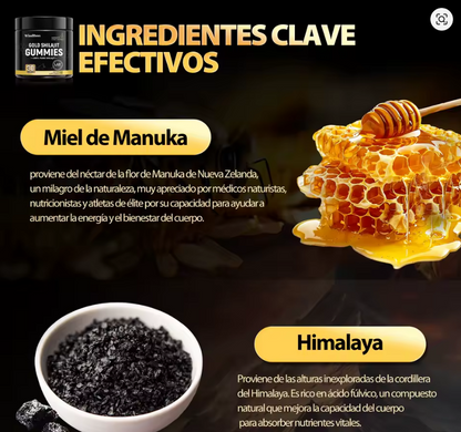 SHILAJIT 30 GOMITAS!!! 40% DE DESCUENTO!!!