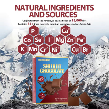 SHILAJIT "CHOCOLATE" (12 PZAS)  35% DE DESCUENTO!!!